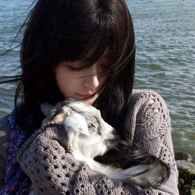 芭比姐妹之追逐的小狗
